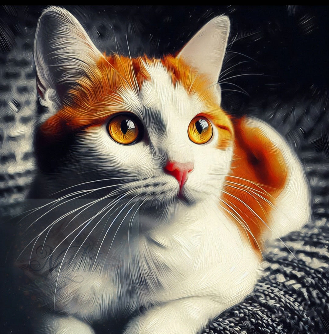 792 Regard d'Ambre