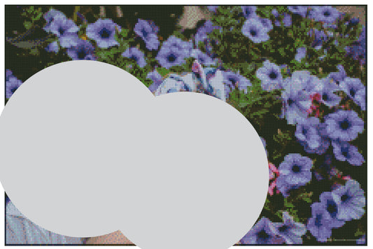 DP personnalisé illustration paysage Tiffanie