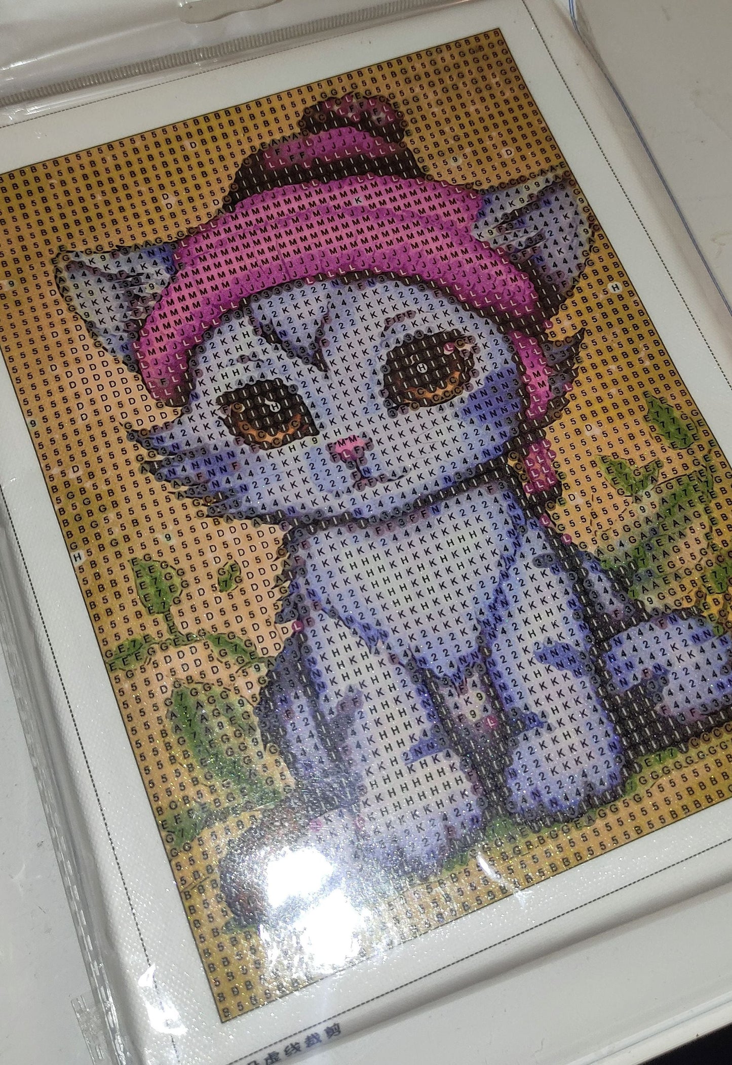 Chaton Mia, espiègle et curieuse