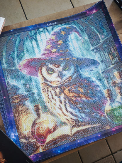 🦉 Le Gardien des Potions Enchantées – Diamond Painting Premium