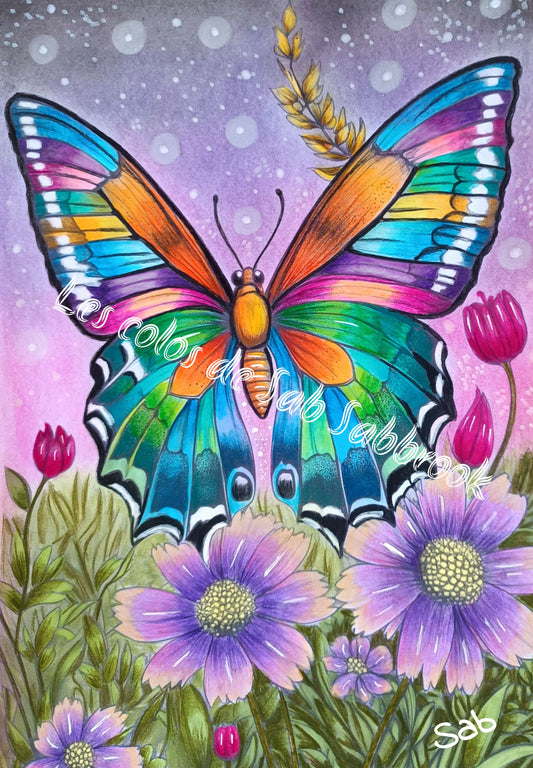 538