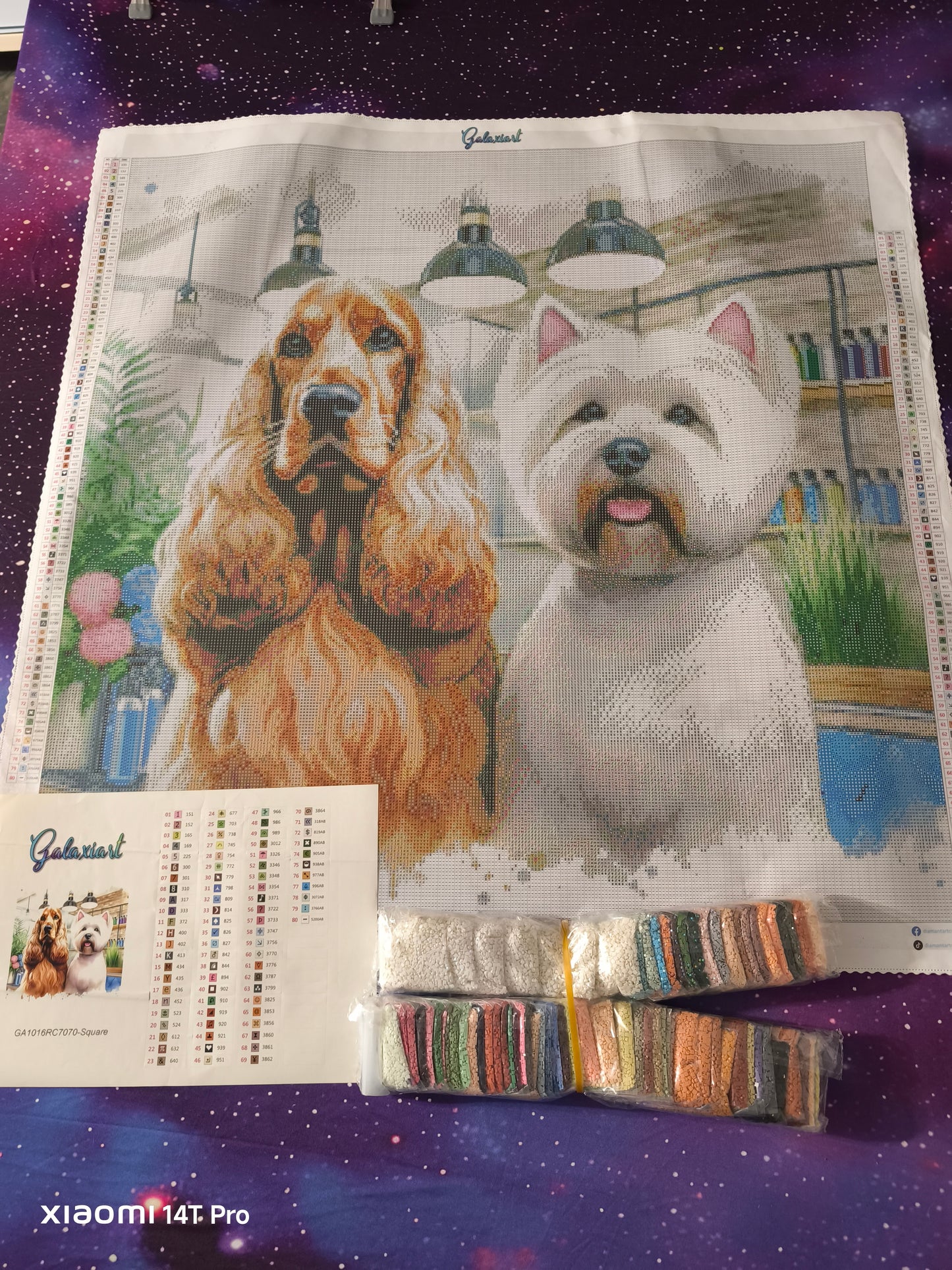 🪐Cocker et westie au salon de toilettage