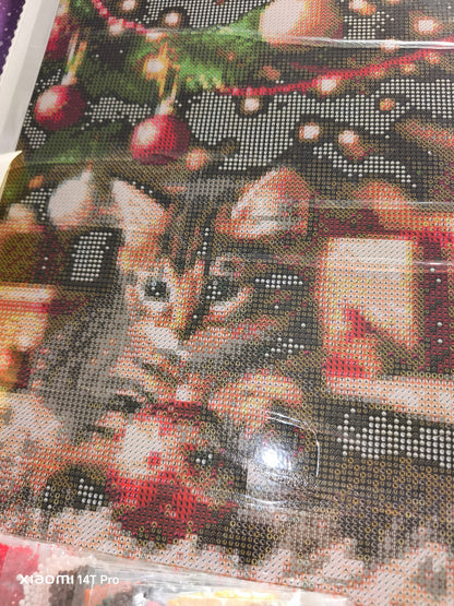 Chaton Un Noël Félin Magique