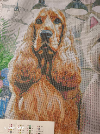 🪐Cocker et westie au salon de toilettage