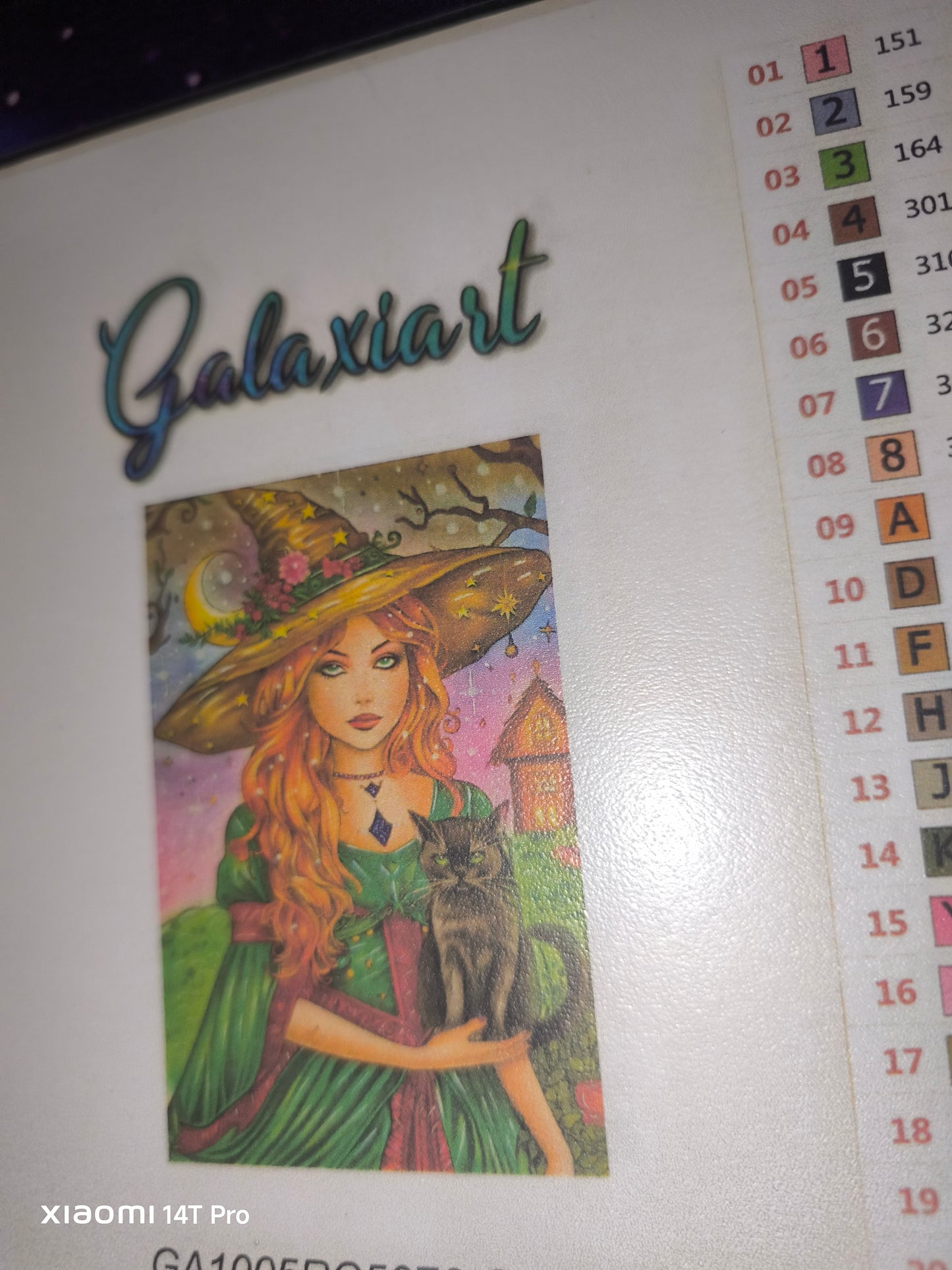 🪐Sarah et Thackery Binx – Les Secrets de Salem | Diamond Painting Premium Galaxiart