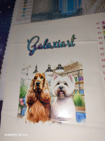 🪐Cocker et westie au salon de toilettage