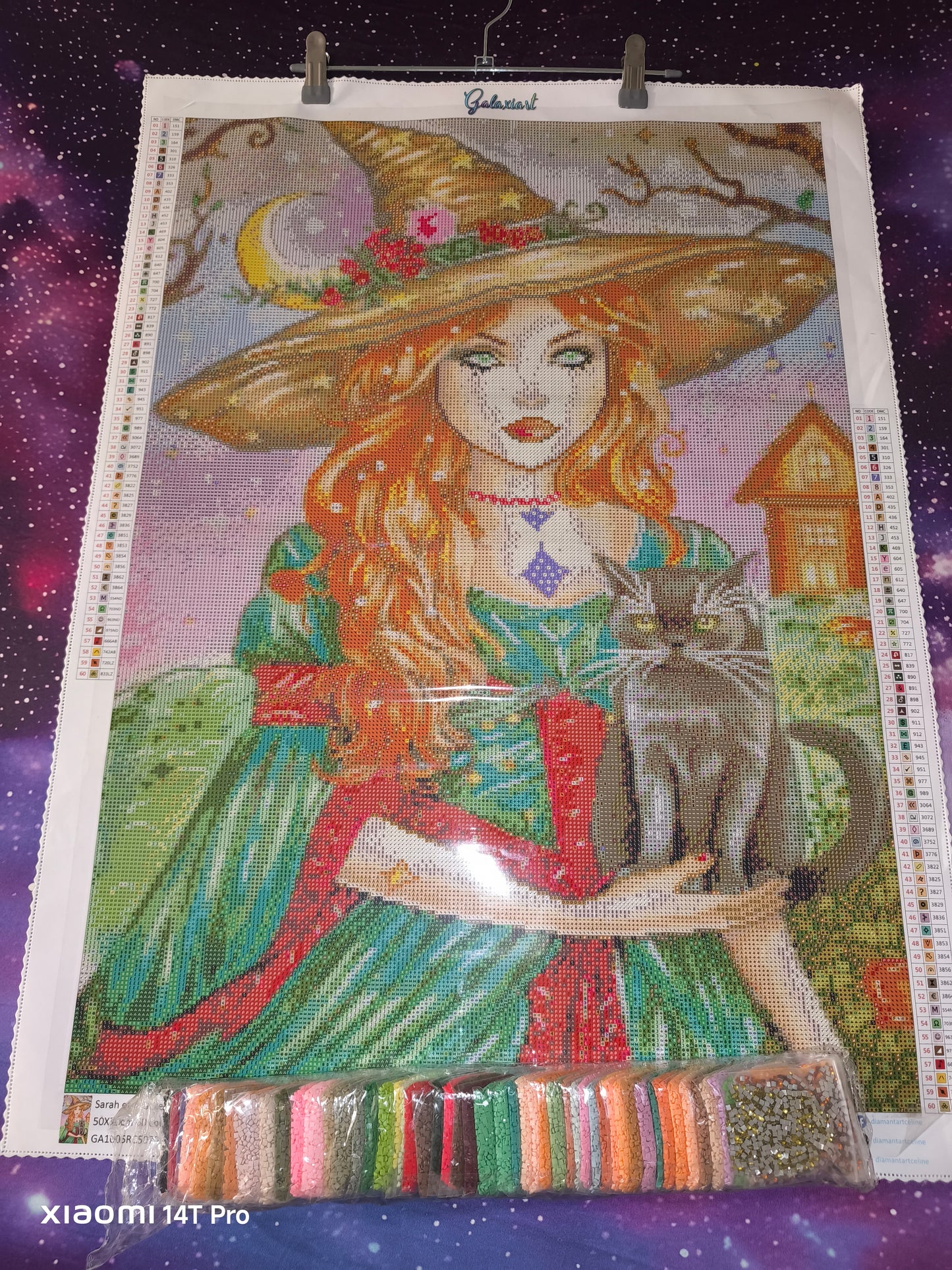 🪐Sarah et Thackery Binx – Les Secrets de Salem | Diamond Painting Premium Galaxiart