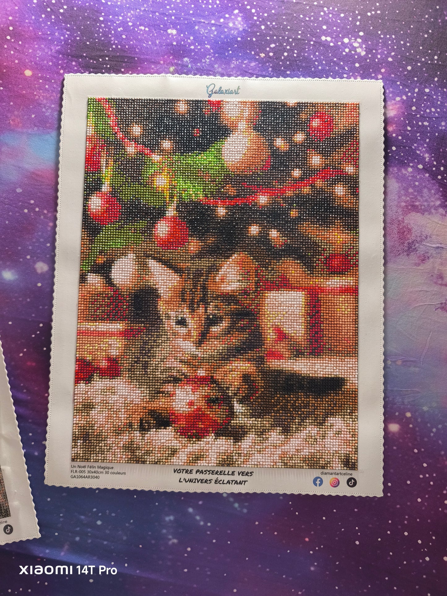 Chaton Un Noël Félin Magique