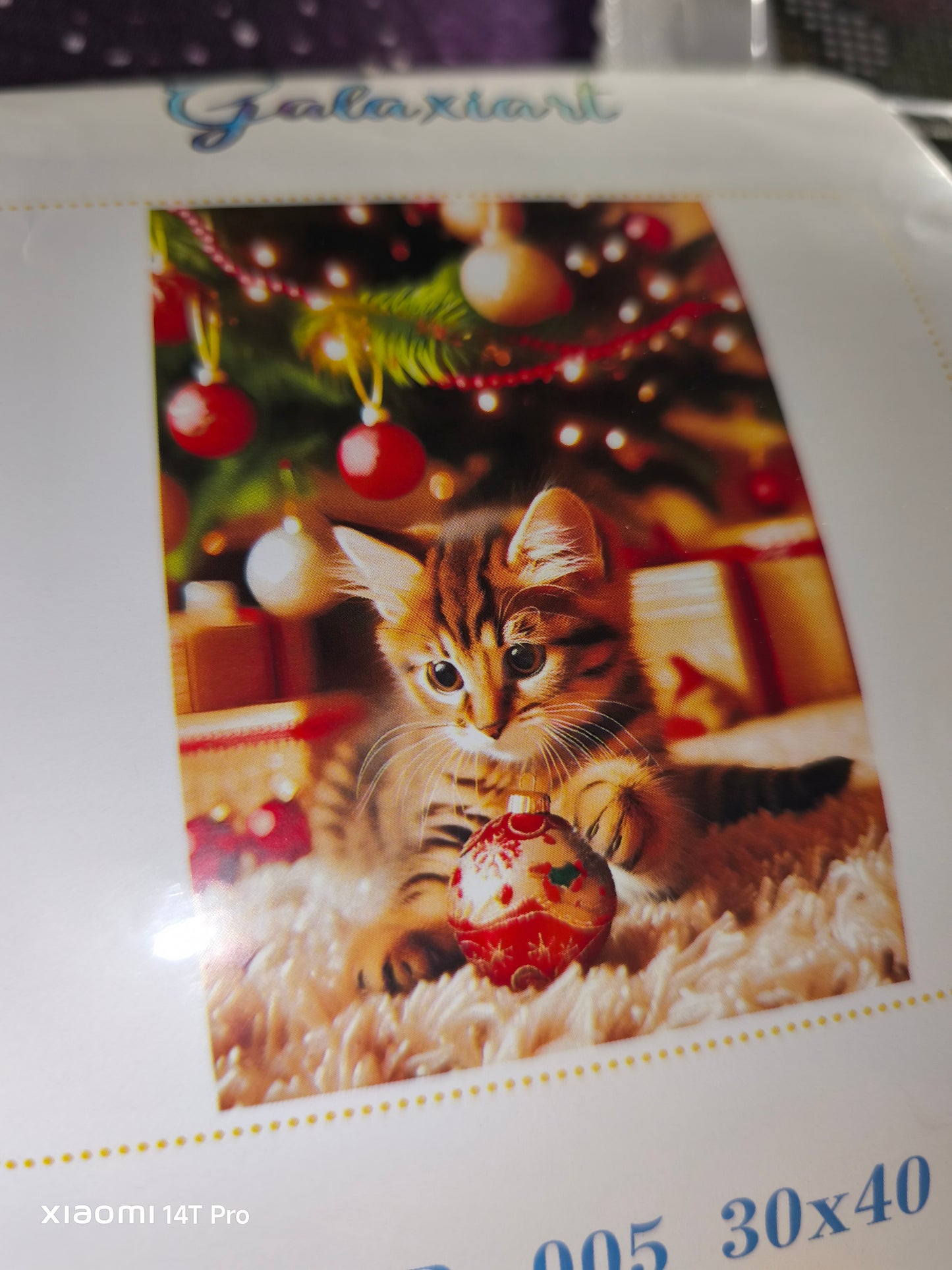 Chaton Un Noël Félin Magique