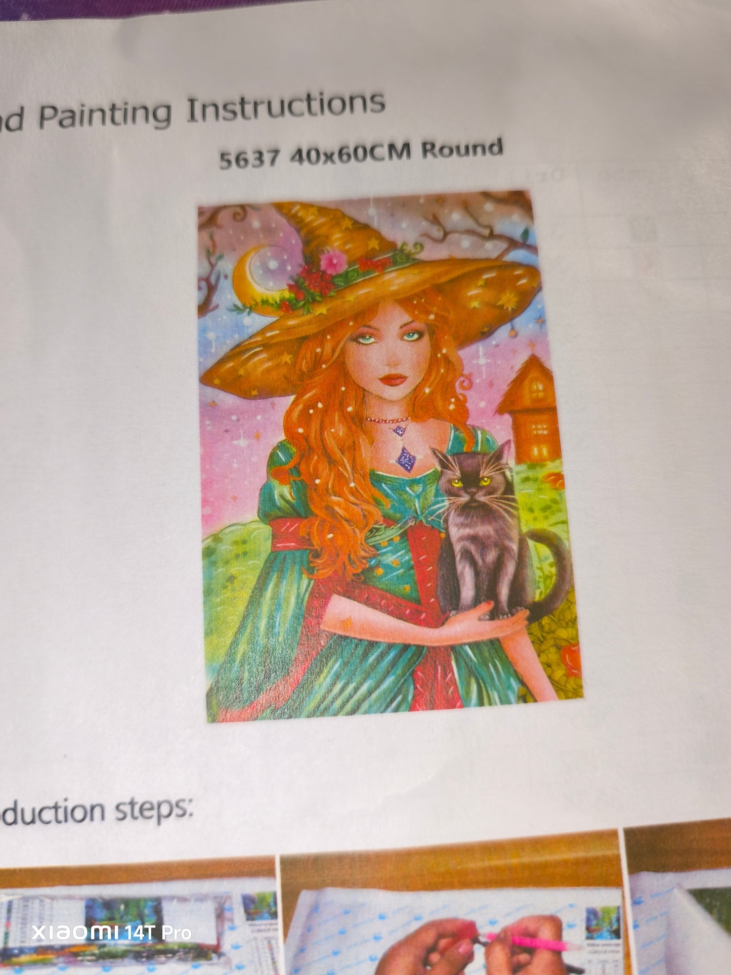 🪐Sarah et Thackery Binx – Les Secrets de Salem | Diamond Painting Premium Galaxiart